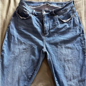 Judy Blue Skinny Fit Ankle Size 16W